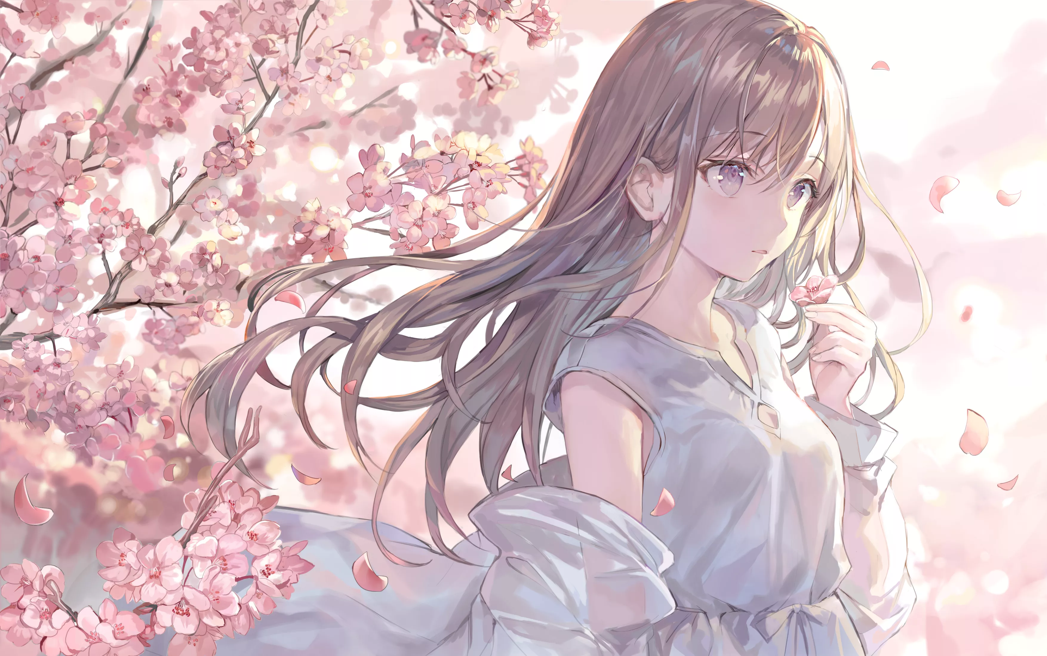 白灵